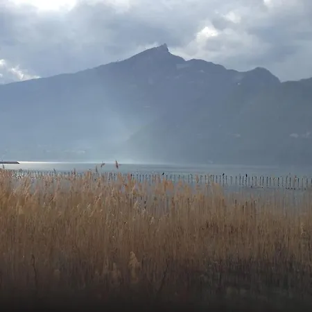 شقة O Cocon Du Lac, Magnifique De Charme 30 M2, Ideal Curistes