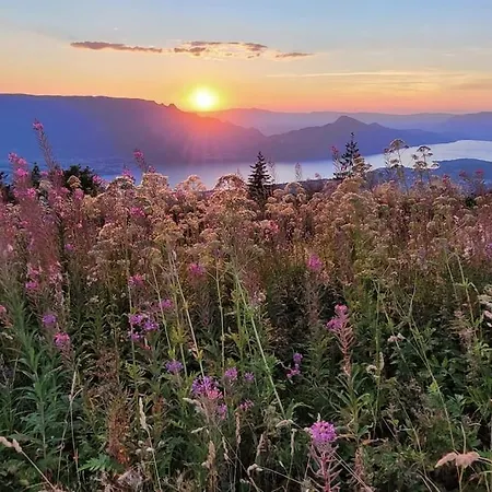 O Cocon Du Lac, Magnifique De Charme 30 M2, Ideal Curistes إيكس ليه با