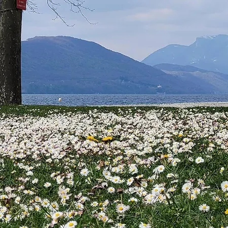 شقة O Cocon Du Lac, Magnifique De Charme 30 M2, Ideal Curistes إيكس ليه با