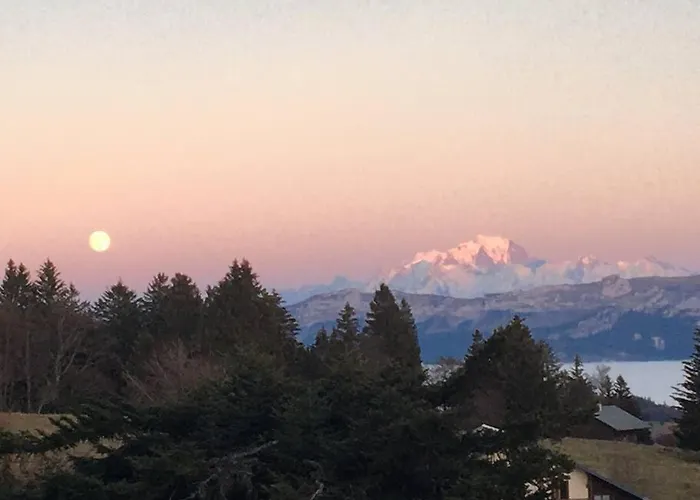 O Cocon Du Lac, Magnifique De Charme 30 M2, Ideal Curistes *