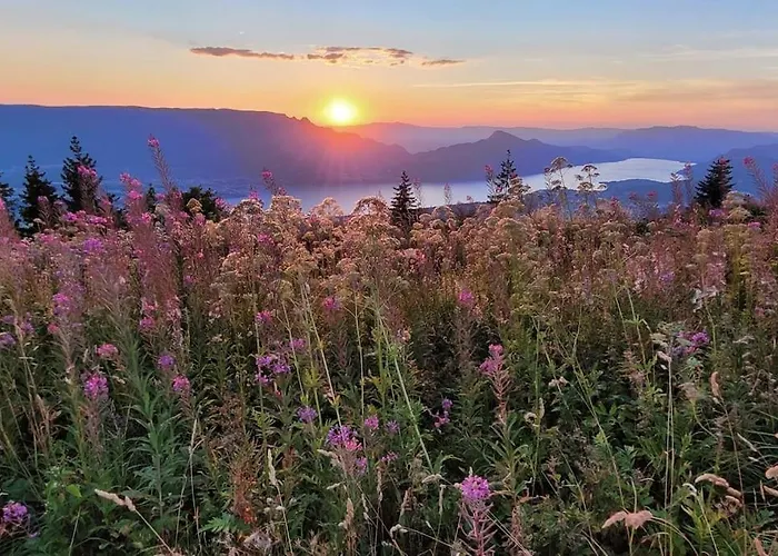 O Cocon Du Lac, Magnifique De Charme 30 M2, Ideal Curistes Aix-les-Bains