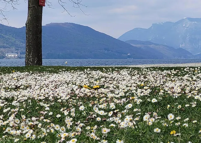 Apartman O Cocon Du Lac, Magnifique De Charme 30 M2, Ideal Curistes Aix-les-Bains