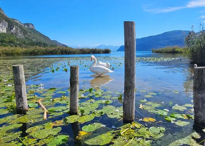 O Cocon Du Lac, Magnifique De Charme 30 M2, Ideal Curistes Apartman *